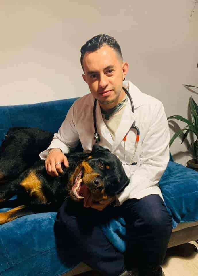 Creador de Cuidado en la salud de tu perro