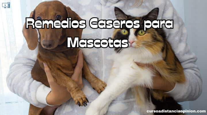 Remedios Caseros para Atender en Casa a Perros y Gatos